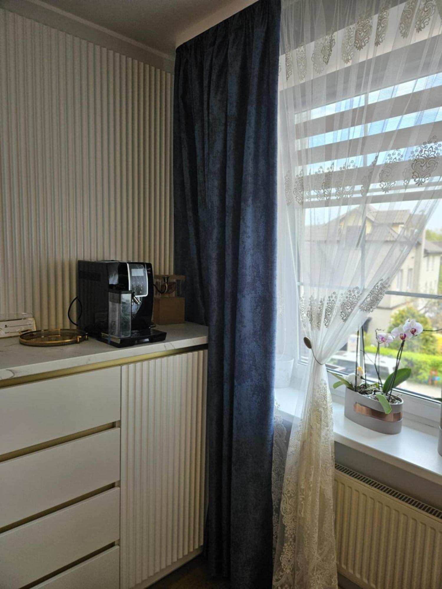 Medziotoju Apartment In Old City Palanga Dış mekan fotoğraf